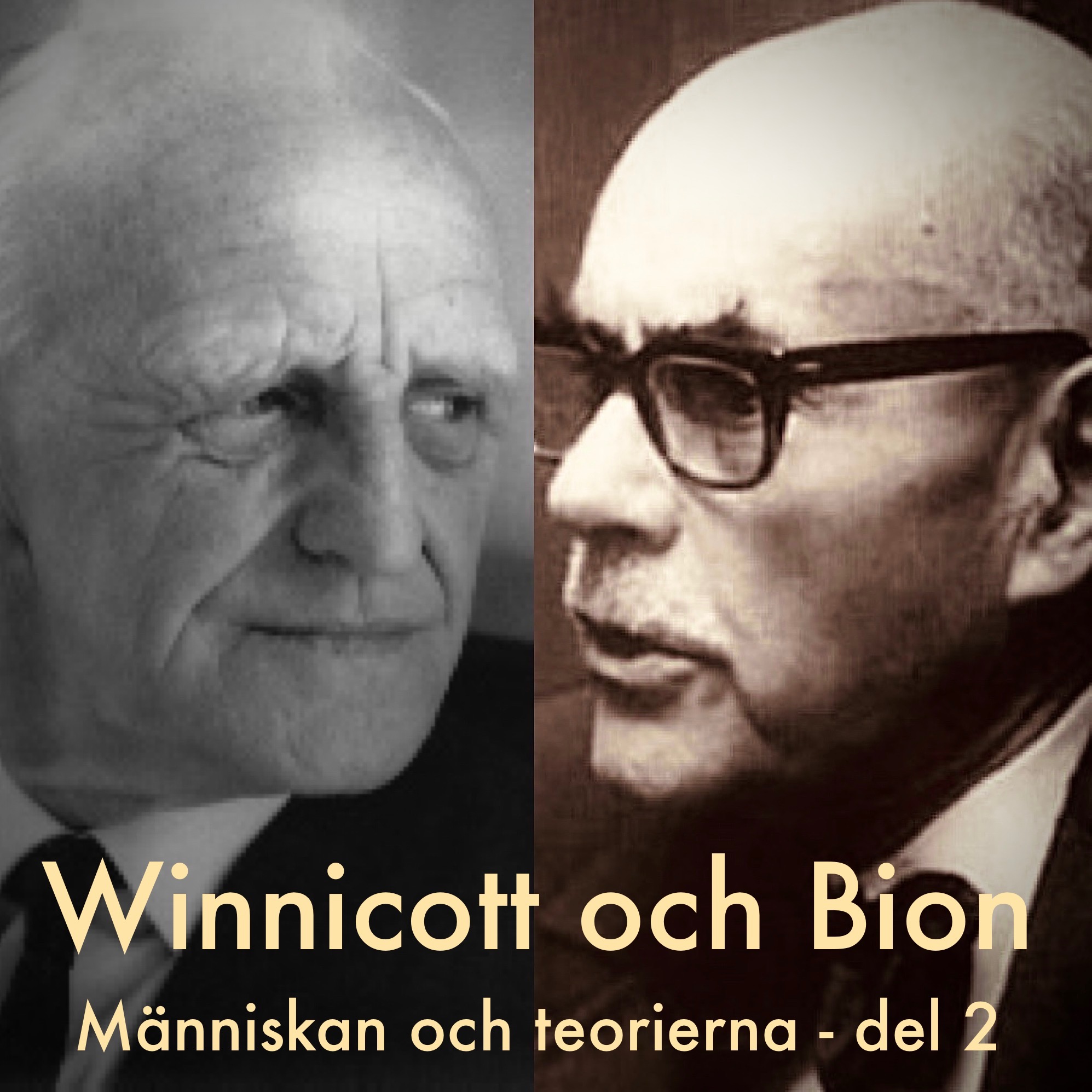 #19:Winnicott och Bion. Människan och teorierna - del 2
